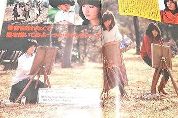 デコトラパーツセット　山口百恵　岩崎宏美　トラック　昭和レトロ デコトラパーツセット 山口百恵 岩崎宏美 トラック 昭和レトロ 車